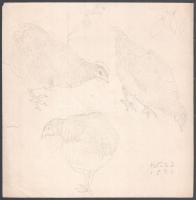 Pituk József Viktorián (1906-1991): Csirkék. Ceruza, papír, jelzett és datált (Pituk 1941), lap szélén kisebb szakadással. 22,5×22,5 cm