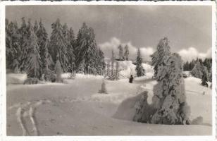 Hargita, Harghita; síelés, téli sport / ski, winter sport