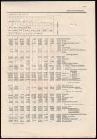 1926 Háztartási statisztika, gyáripari munkahelyek, függelék, vágatlan