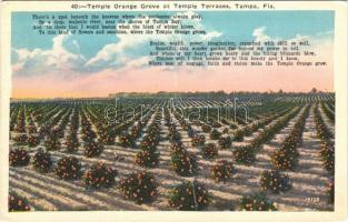 1933 Tampa (Florida), Temple Orange Grove at Temple Terraces, (fa)