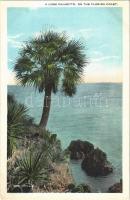 Palmetto (Florida), a lone on the coast,