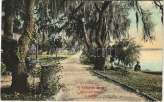 1912 Florida, Halifax river, a restful spot