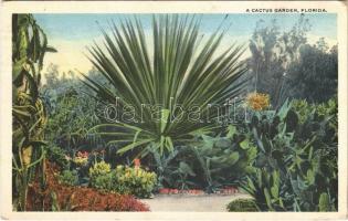 1921 Florida, a cactus garden