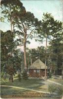 Ormond Beach (Florida), A Winter Camp on Santa Lucia Plantation, Chaco Chulee the house of the pine tree, (worn corners)