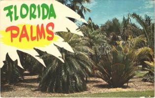 1972 Florida palms (EK)