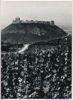 cca 1950-1960 Sümegi vár, fotó, 23×17 cm