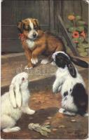 1916 Among the Bunnies Dog with rabbits, Raphael Tuck & Sons Oilette no. 9539, s: B. Cobbs (EK)