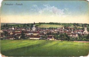 1917 Pinkafő, Pinkafeld; látkép. Karl Strobl Nr. 1939. / general view (b)