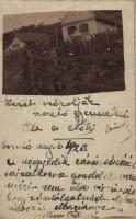 1920 Somló, villák szőlőskerttel. photo (Rb)