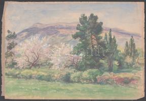 Jelzés nélkül: Istenhegyen. Akvarell, papír. Bal alsó sarkában feliratozott. Lap szélén apró szakadásokkal. 20x29 cm