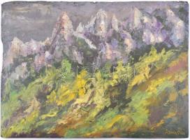 Kádár Géza jelzéssel: Hegyvidéki táj. Olaj, karton, széleinél sérült, 40x54,5 cm