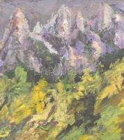 Kádár Géza jelzéssel: Hegyvidéki táj. Olaj, karton, széleinél sérült, 40x54,5 cm