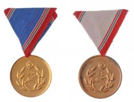 ~1960-1980. Honvédelmi Érdemérem 20 és 25 év után aranyozott fém kitüntetés mellszalagon (2x), dísztokban T:2
