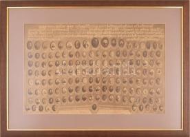 1909 november 11-én a függetlenségi párt kettészakadása alkalmával az anyapártban bent maradt Justh ...