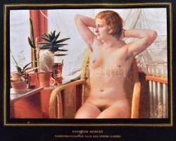 Die Erotik in der Photographie. Die geschichtliche Entwicklung der Aktphotographie und des erotische...