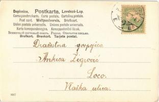 Ice skate, romantic couple, winter sport (EK)