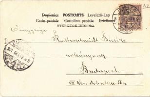 1901 Romantic couple, lady art postcard. B.K.W.I. Serie 801/6. (fl)