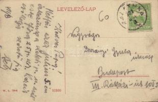 1909 Zalatna, Zlatna; Fő tér, piac, templom építés közben. W.L. 3204. / main square, market, church ...