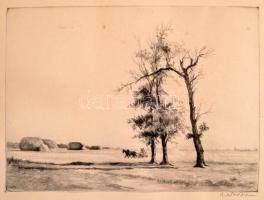 Zádor István (1882-1963): Róna lovaskocsival. Rézkarc, papír, jelzett 34x25 cm