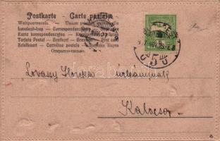 1907 Mother-in-law, marriage humour. Emb. litho rats (fl)