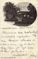 1908 Bikszád, Bikszádfürdő, Baile Bixad; Mária lak. Weiss L. és F. / villa (EB)