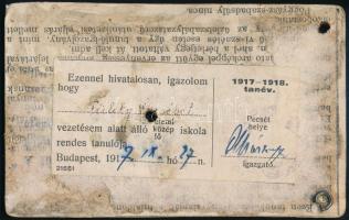 1917 Bp., Fényképes igazolvány az 1917-1918-as tanévre diáklány számára