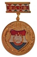 1988. MHSZ (Magyar Honvédelmi Szövetség) 40 éves jubileumi, aranyozott kitüntető jelvénye, eredeti bársonybetétes, fedelén dombornyomott, aranyozott tokban (55x36mm) T:1