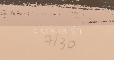 feLugossy László (1947-): Nyersangyal.. Szitanyomat, papír. Jelezve balra lent: Nyersangyal, középen...