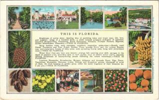 Florida, church, ship, fruits,