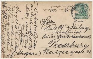1911 Liszt Ferenc s: V. Szilagi 1911 Franz Liszt s: V. Szilagi