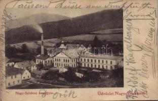 1901 Nagyszabos, Nagyszlabos, Slavosovce; papírgyár / paper factory (EB)