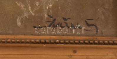 Olvashatatlan jelzéssel: Csendélet gyümölcsökkel. Olaj, karton. Régi, díszes, sérült fa keretben, 19...