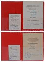 1956. "A Haza Szolgálatáért Érdemérem" arany fokozata, zománcozott aranyozott kitüntetés m...