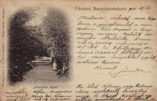 1901 Marosvásárhely, Targu Mures; Erzsébet liget. Raichardsperg J. és társa kiadása, Hajdú Sándor fölvétele / park (EK)