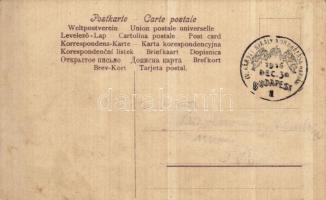 Flowers, clover. litho + "IV. Károly király koronázása napján 1916. dec. 30. Budapest" So....