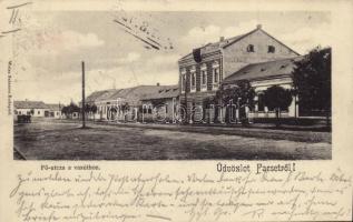 1902 Facset, Facsád, Faget; Fő utca a vasúthoz, Mailander Rafael üzlete / main street towards the railway station, shop (EK)