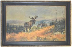 Jelzés nélkül: Jávorszarvasok. Olaj, vászon. Díszes, reprezentatív, kissé sérült fa keretben. 60×100...