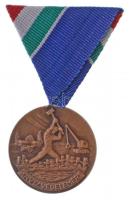 1970. Árvízvédelemért Br kitüntetés mellszalagon, eredeti tokban T:1 NMK 663.
