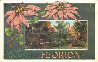 Florida, tropical plants, Christmas Greetings (EB)