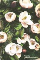 Florida, magnolia flowers, (worn corners)