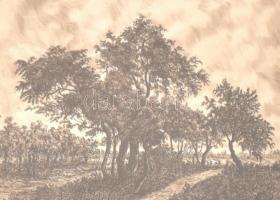Olvashatatlan jelzéssel: Fák. Rézkarc, papír, üvegezett keretben, 15×24 cm