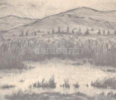 ifj. Iván Szilárd (1955-): Mocsaras táj, rézkarc, papír, jelzett, üvegezett keretben, 15,5×21 cm