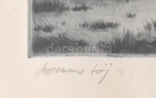 ifj. Iván Szilárd (1955-): Mocsaras táj, rézkarc, papír, jelzett, üvegezett keretben, 15,5×21 cm