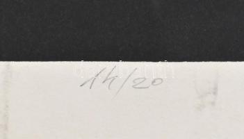 Tőkey Péter (1943-): Metropolisz. Szitanyomat, papír, jelzett, számozott (14/20): Lap széle sérült, ...