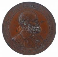 1895. "Hopp Ferenc" Br emlékérem "LAUER" gyártói jelzéssel. "HOPP FERENCZNEK 50. ÉVI ÜZLETI TEVÉKENYSÉGE MEGÜNNEPLÉSÉNEK EMLÉKÉÜL / 1845 JULIUS 19. 1895" (50mm) T:2 kis patina