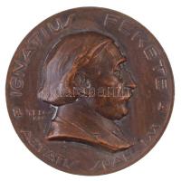 Telcs Ede (1872-1948) 1928. "Ignatius Fekete" egyoldalas Br emlékérem (60,5mm) T:2 ph. HP 6190.