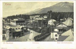 Ótátrafüred, Altschmecks, Stary Smokovec (Magas Tátra, Vysoké Tatry); Feitzinger Ede 318 b/c. 1903/13. / hotels