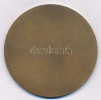 1967. "Csepel Vas- és Fémművek 75 év 1892-1967" Br emlékérem (60,5mm) T:1-