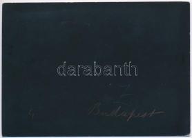 cca 1880 Budapest, Nyugati Pályaudvar, keményhátú fotó, 11×16 cm