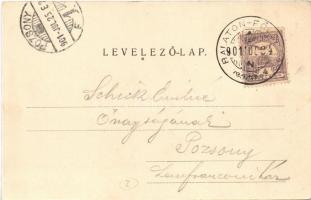 1901 Balatonföldvár, Zrínyi szálloda és athléta clubház. Divald Károly kiadása